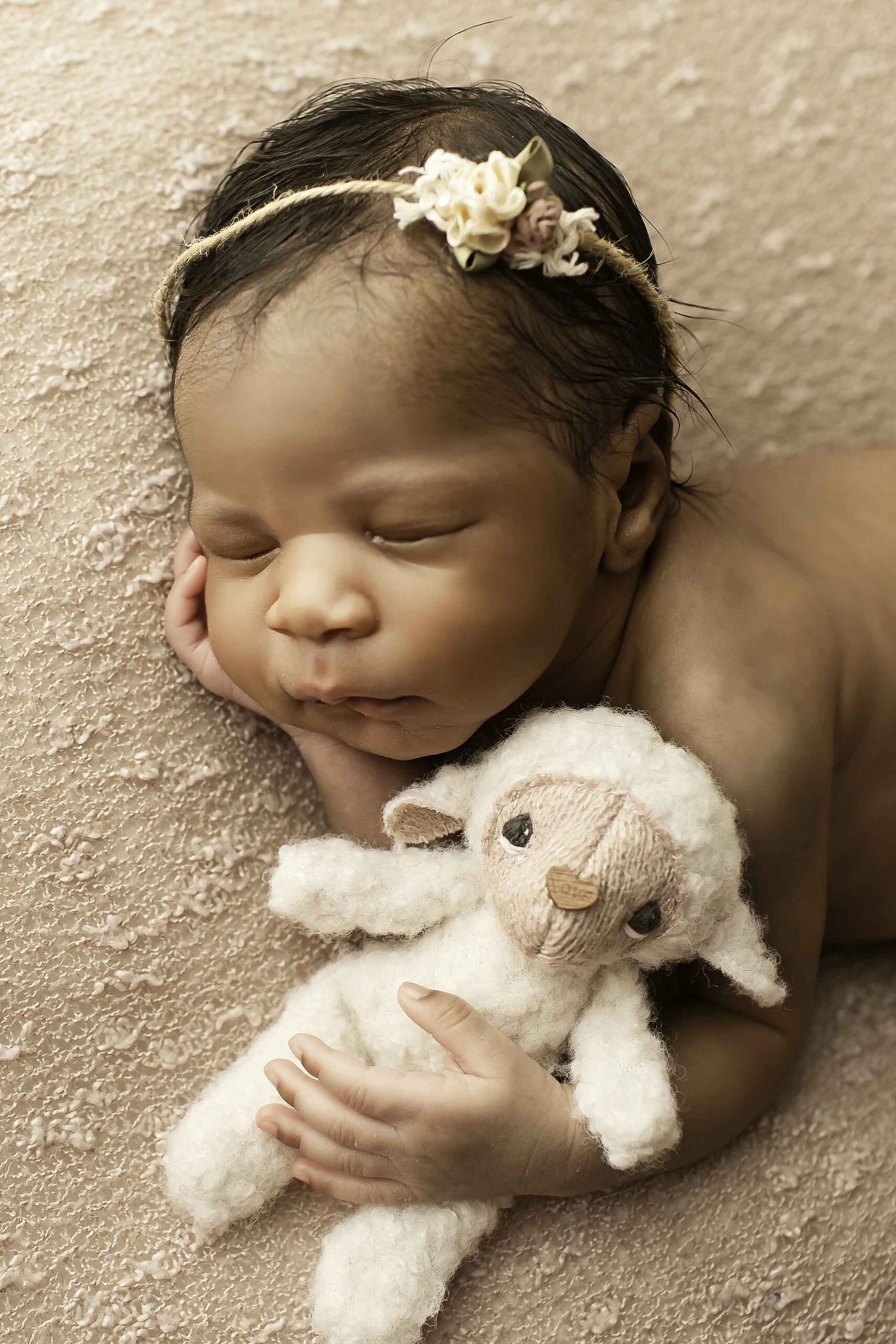 Chunky Monkey Newborn Baby Girl in Studio with a snuggly lamb