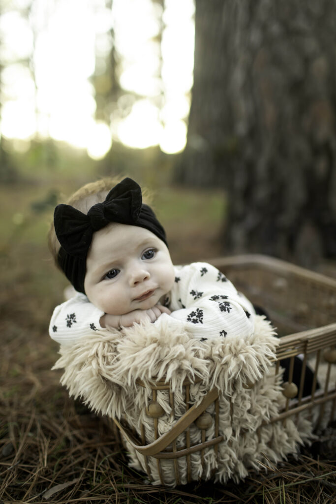 In the heart of Decatur’s pine trees, a 2-month-old lies comfortably in a basket, peacefully resting while nature's beauty provides a perfect backdrop